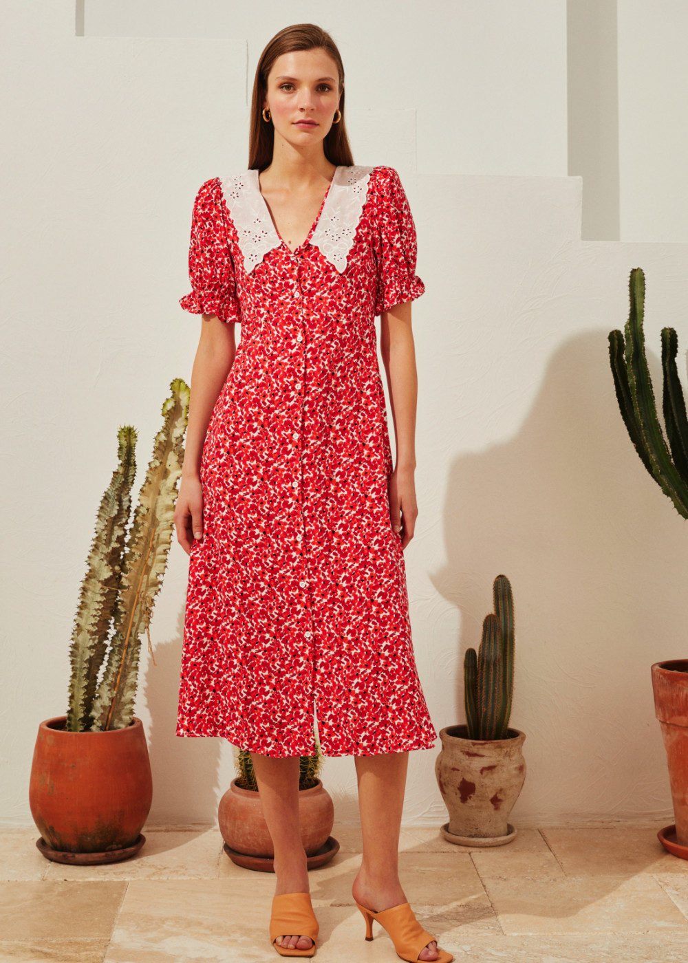 Collar Detailed Vintage Dress Collar Detailed Vintage Dress