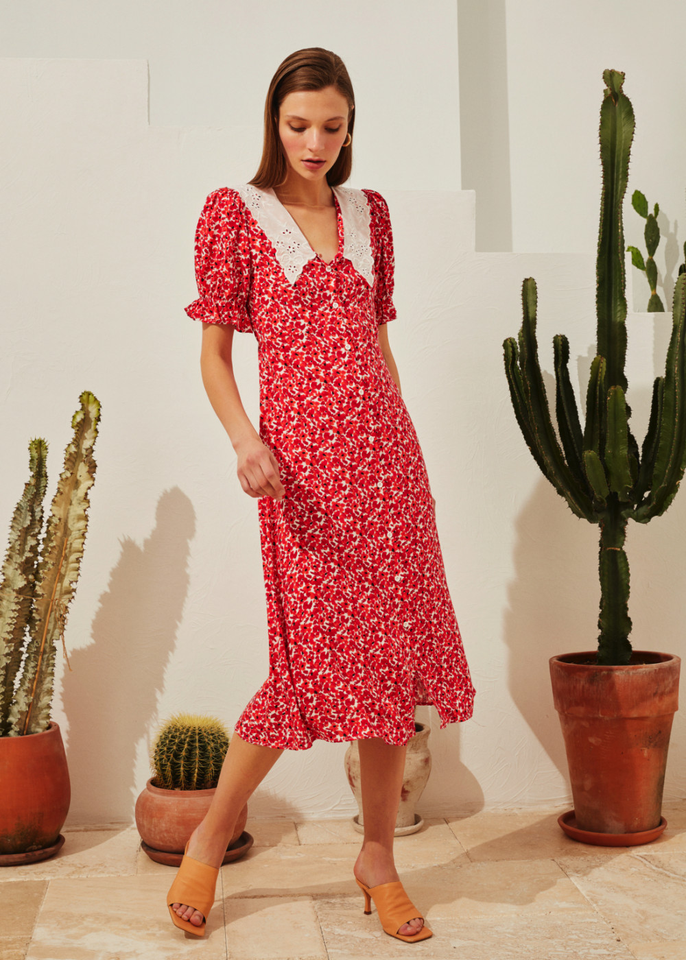 Collar Detailed Vintage Dress Collar Detailed Vintage Dress