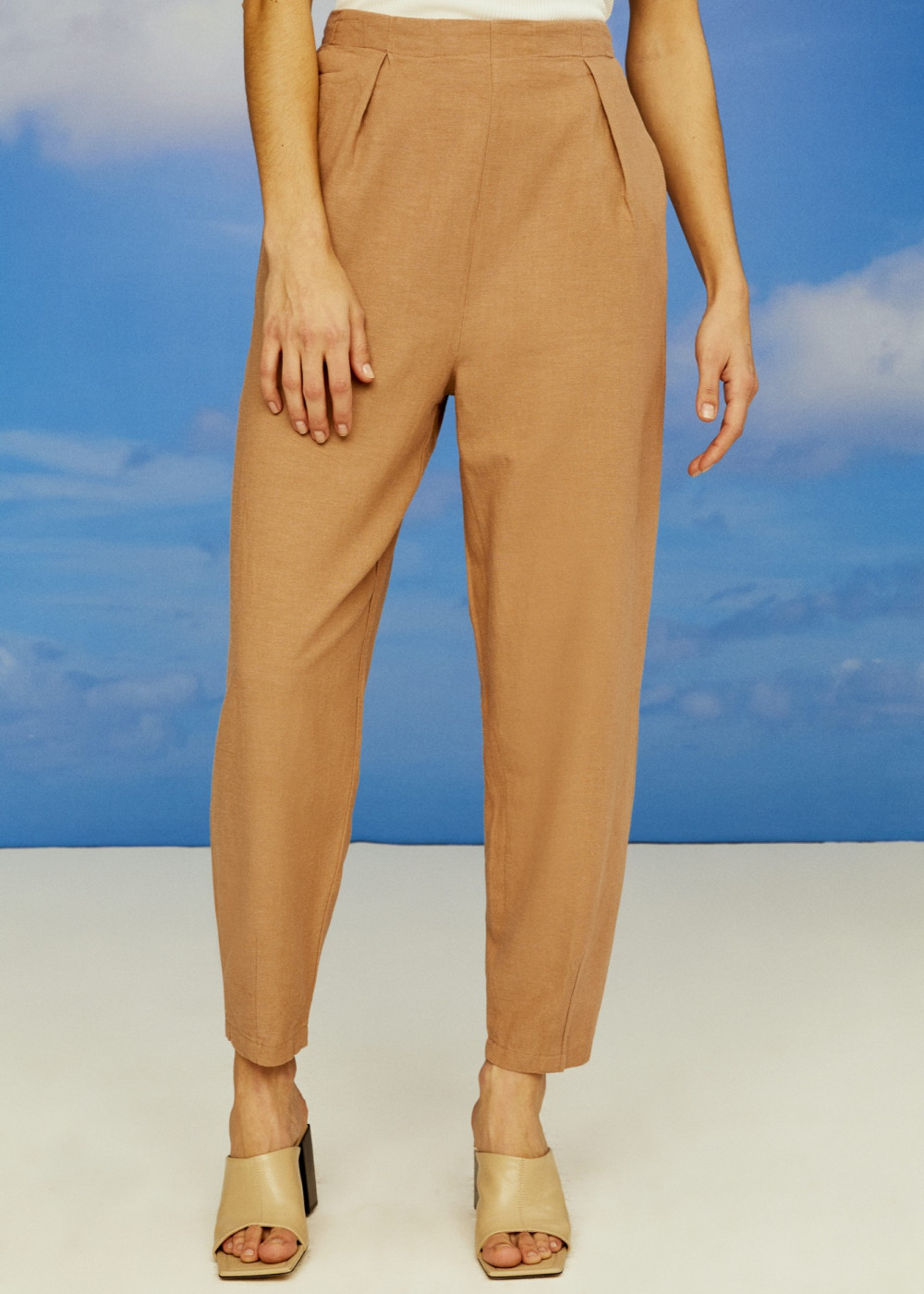 Pleated Trousers