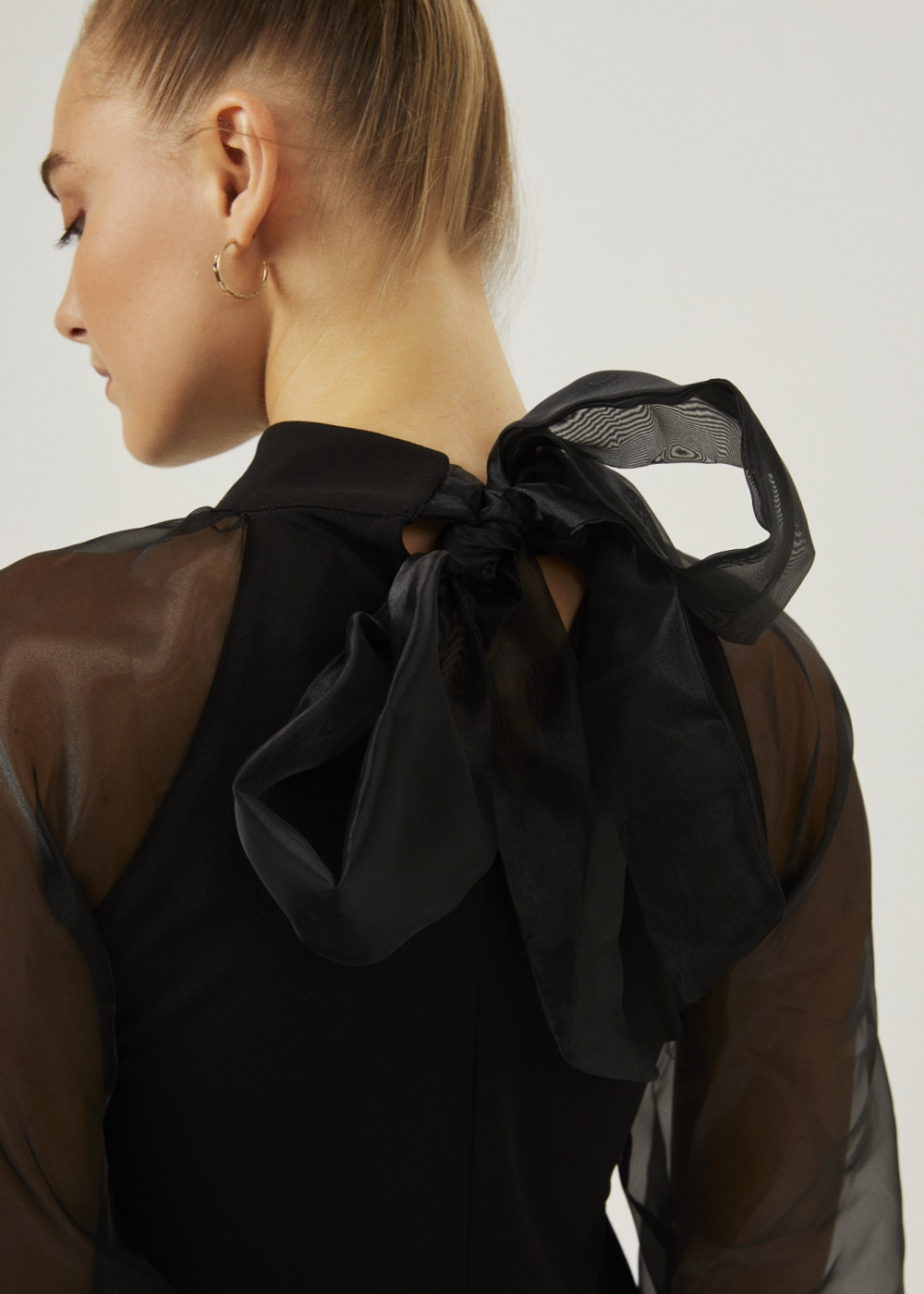 Organza Sleeve Dress Organza Sleeve Dress