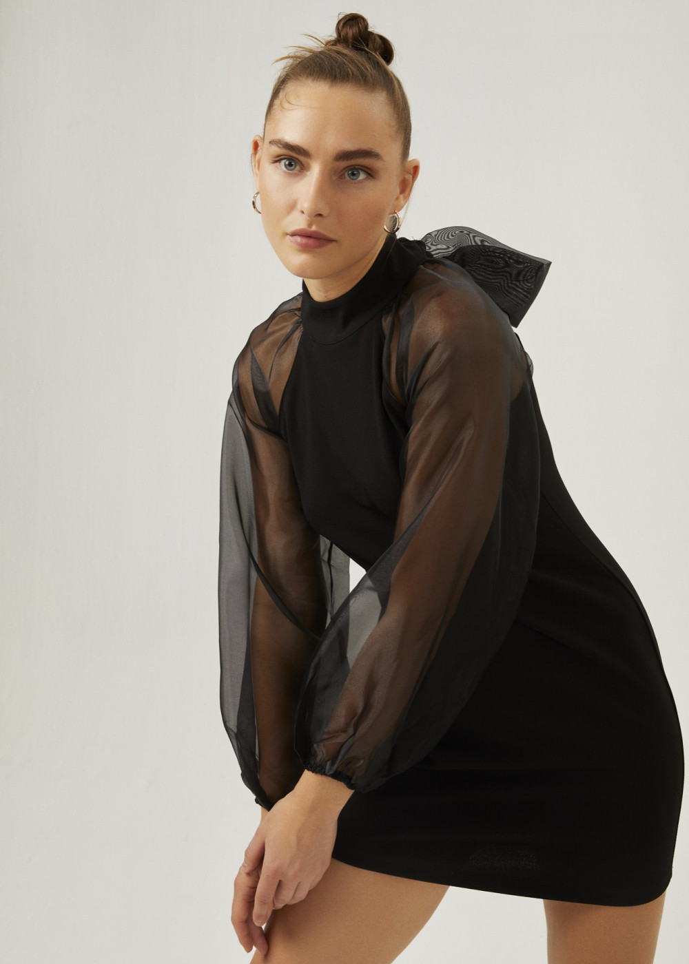 Organza Sleeve Dress Organza Sleeve Dress