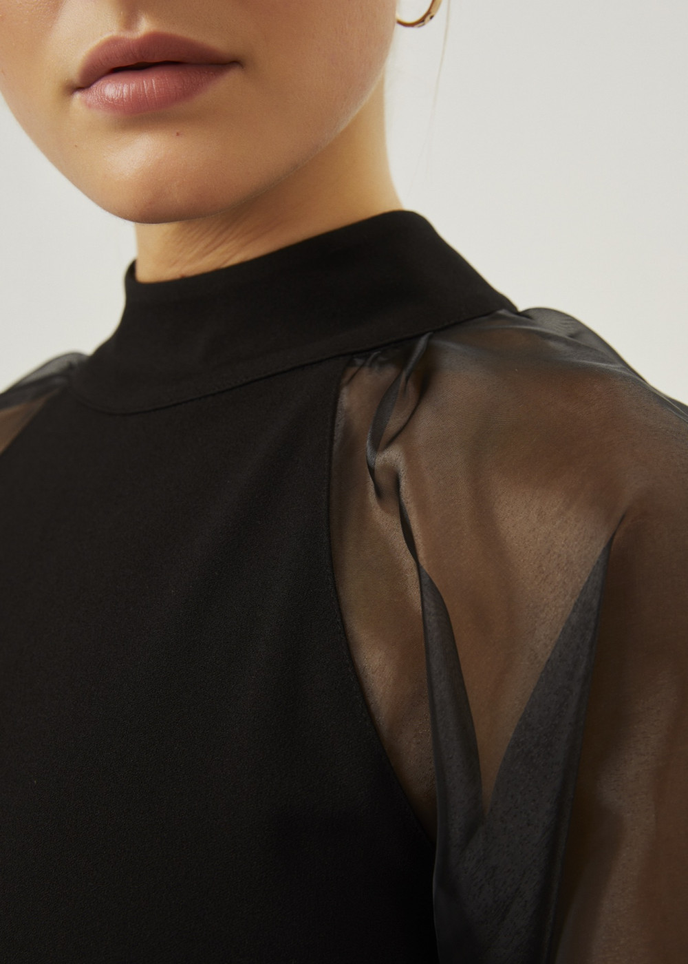 Organza Sleeve Dress Organza Sleeve Dress