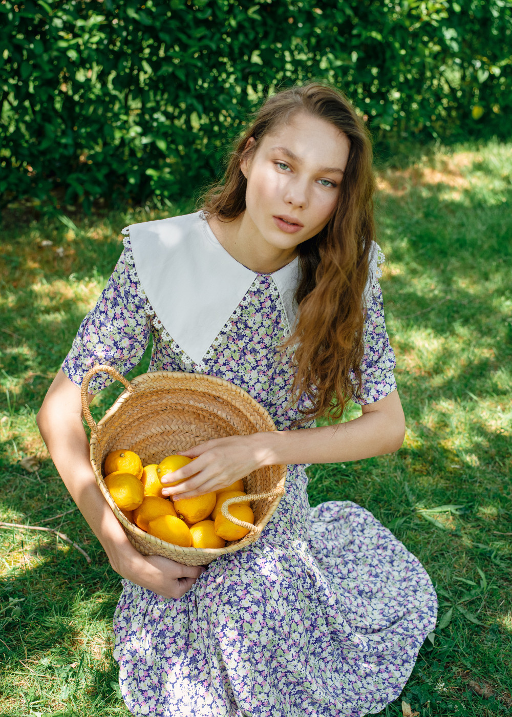 Vintage Dress With Collar Vintage Dress With Collar