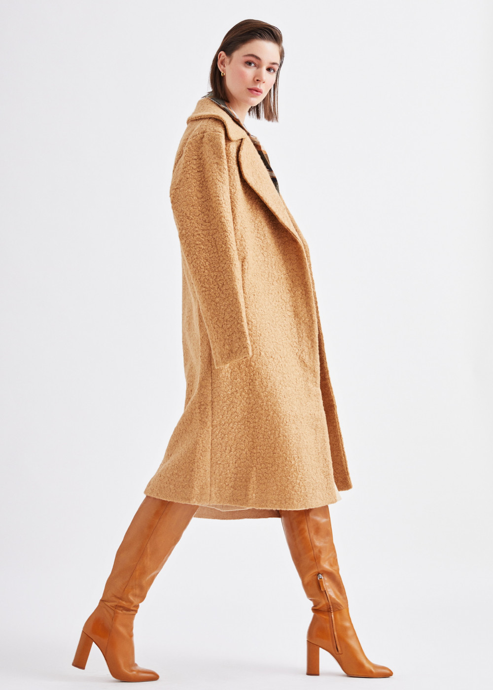 Curly Coat Curly Coat