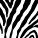 Zebra Black